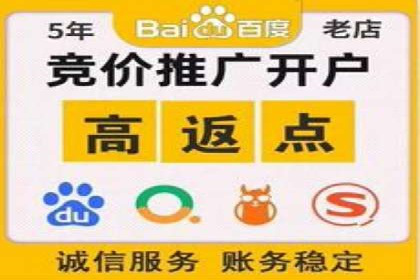 竞价推广策略解析：实战案例分析